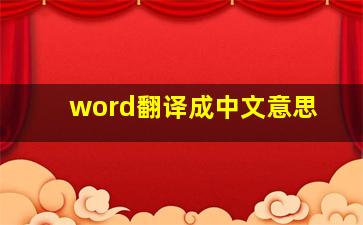 word翻译成中文意思