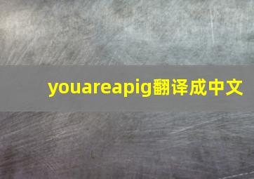 youareapig翻译成中文