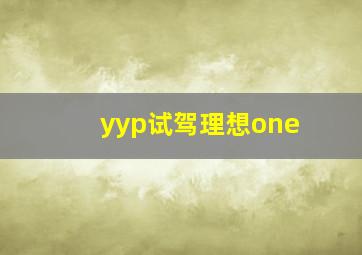 yyp试驾理想one