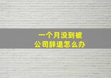 一个月没到被公司辞退怎么办