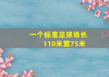 一个标准足球场长110米宽75米