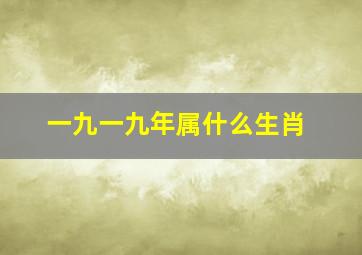 一九一九年属什么生肖