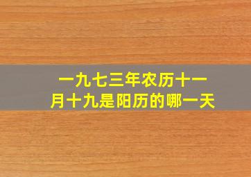一九七三年农历十一月十九是阳历的哪一天