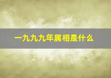 一九九九年属相是什么