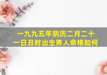 一九九五年阴历二月二十一日丑时出生男人命格如何