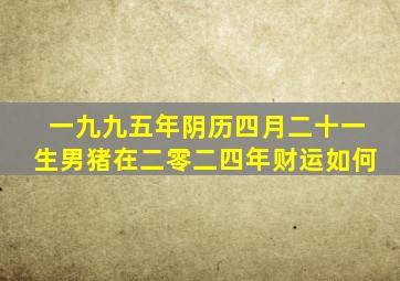 一九九五年阴历四月二十一生男猪在二零二四年财运如何