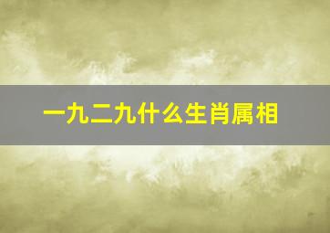 一九二九什么生肖属相