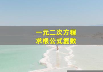 一元二次方程求根公式复数