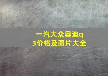 一汽大众奥迪q3价格及图片大全