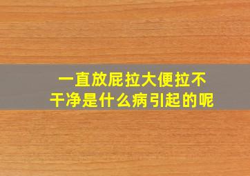 一直放屁拉大便拉不干净是什么病引起的呢