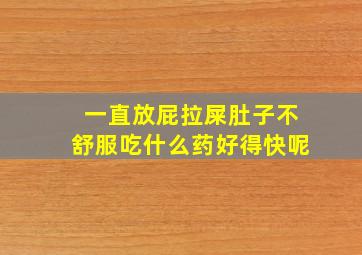 一直放屁拉屎肚子不舒服吃什么药好得快呢