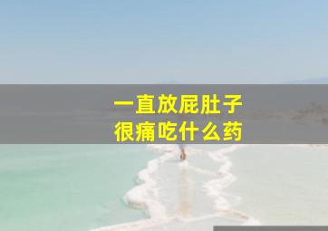 一直放屁肚子很痛吃什么药