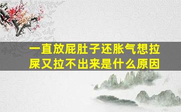 一直放屁肚子还胀气想拉屎又拉不出来是什么原因