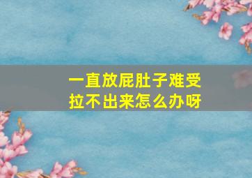 一直放屁肚子难受拉不出来怎么办呀