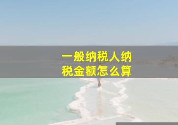 一般纳税人纳税金额怎么算