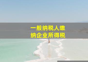 一般纳税人缴纳企业所得税