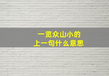 一览众山小的上一句什么意思