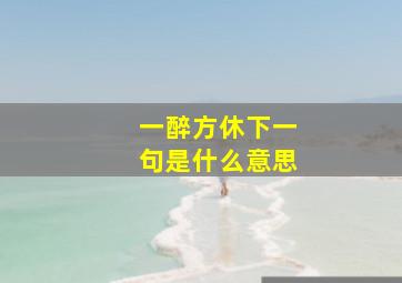 一醉方休下一句是什么意思