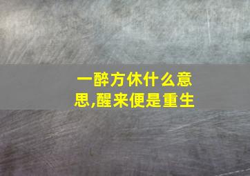 一醉方休什么意思,醒来便是重生