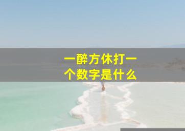 一醉方休打一个数字是什么