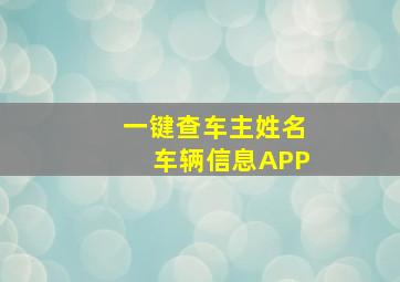 一键查车主姓名车辆信息APP