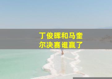 丁俊晖和马奎尔决赛谁赢了