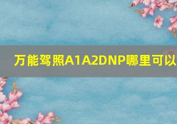 万能驾照A1A2DNP哪里可以考