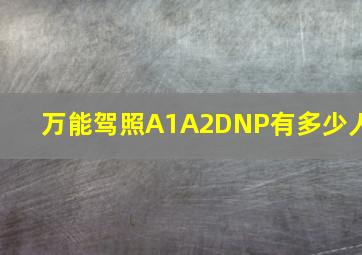 万能驾照A1A2DNP有多少人