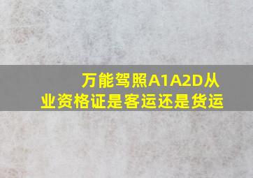 万能驾照A1A2D从业资格证是客运还是货运