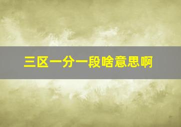 三区一分一段啥意思啊