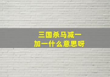 三国杀马减一加一什么意思呀