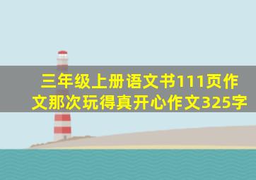 三年级上册语文书111页作文那次玩得真开心作文325字