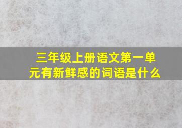 三年级上册语文第一单元有新鲜感的词语是什么