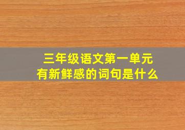 三年级语文第一单元有新鲜感的词句是什么