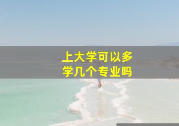 上大学可以多学几个专业吗