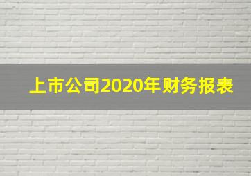 上市公司2020年财务报表