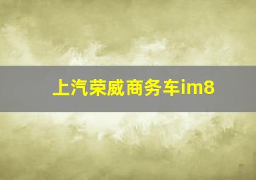 上汽荣威商务车im8