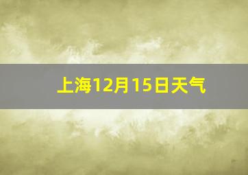 上海12月15日天气