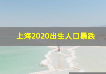 上海2020出生人口暴跌