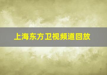 上海东方卫视频道回放