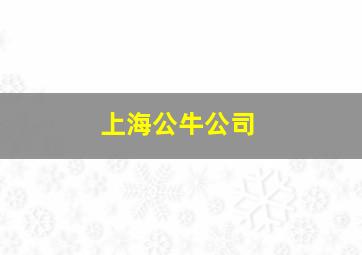 上海公牛公司