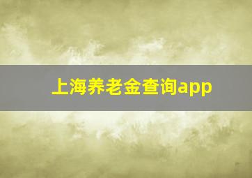 上海养老金查询app