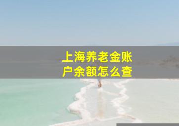 上海养老金账户余额怎么查