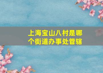 上海宝山八村是哪个街道办事处管辖