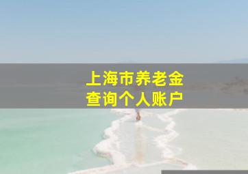 上海市养老金查询个人账户