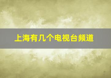 上海有几个电视台频道