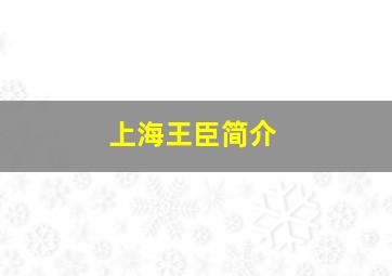 上海王臣简介