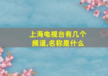 上海电视台有几个频道,名称是什么