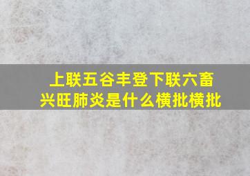 上联五谷丰登下联六畜兴旺肺炎是什么横批横批