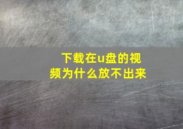 下载在u盘的视频为什么放不出来